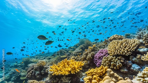Underwater Marvel: Colorful Coral Reef and Fish in Sunlit Waters