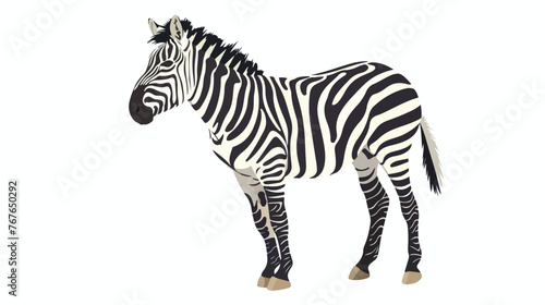 Zebra illustration design and vector Flat vector 