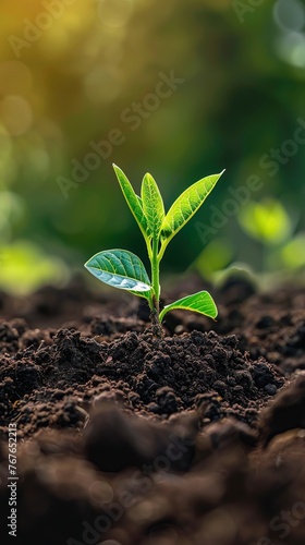 Tilling the soil for business growth preparing the groundwork and environment for development and prosperity