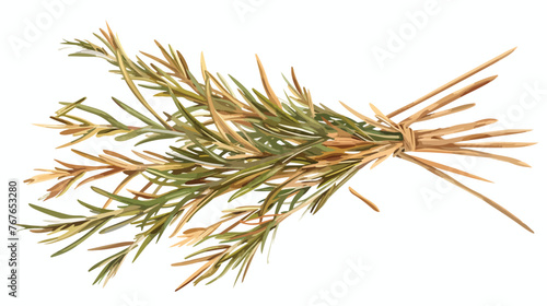 Bunch of dried rosemary on a transparent background.