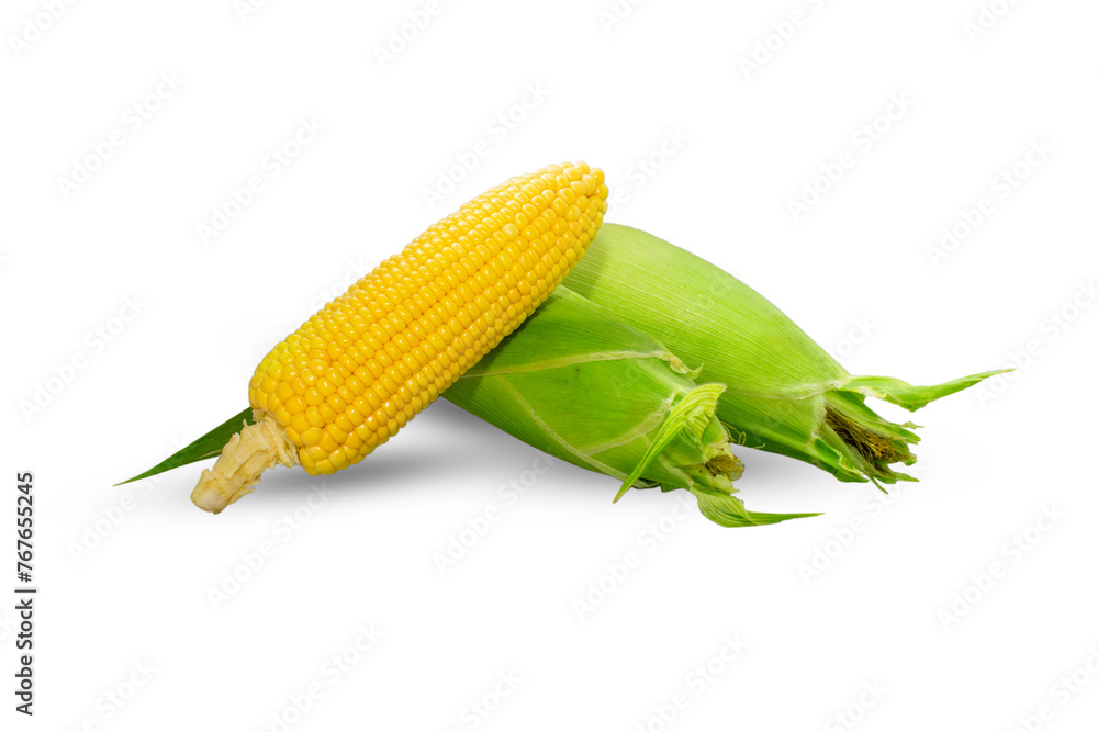 Organic sweet corn isolated on white background Organic sweet corn isolated on white background