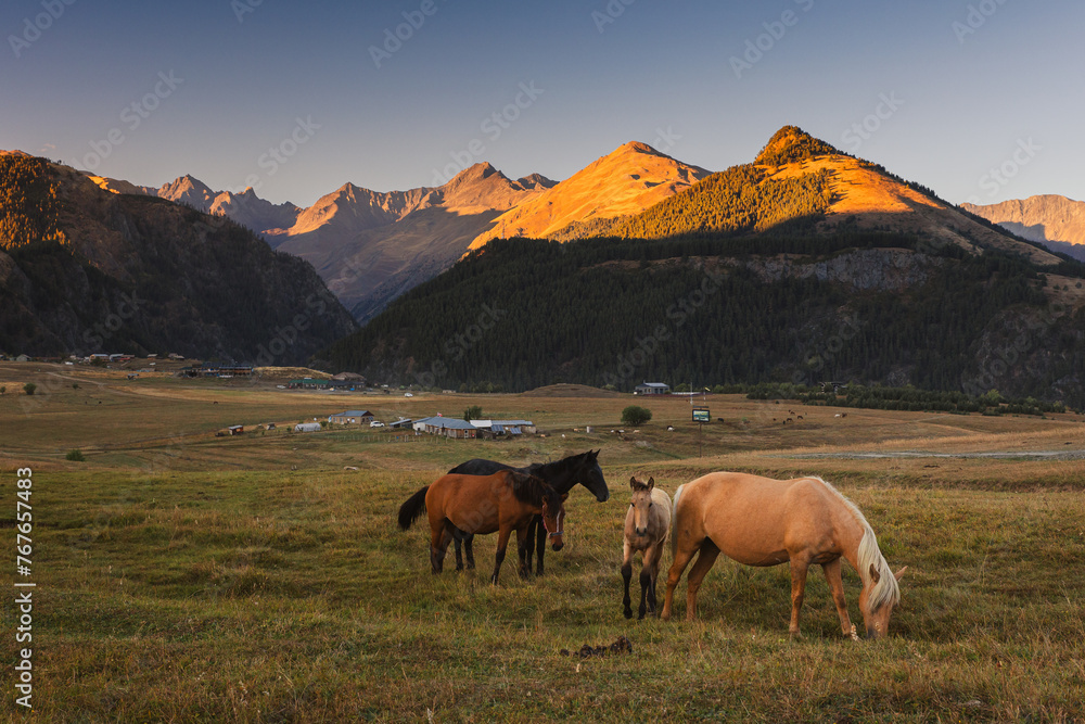 breathtaking views in Tusheti - in one of the most beautiful regions of Georgia. Autumn colors add charm and mood.