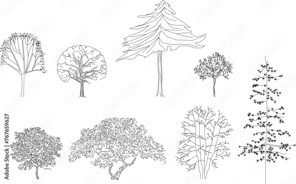 Fototapeta premium Adobe Illustrator Artwork Vector illustrator design sketch of a tree plant with details for completeness of the image 