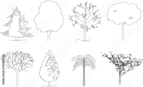 Adobe Illustrator Artwork Vector illustrator design sketch of a tree plant with details for completeness of the image