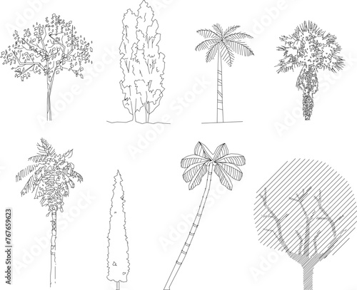 Adobe Illustrator Artwork Vector illustrator design sketch of a tree plant with details for completeness of the image