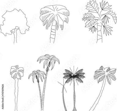 Adobe Illustrator Artwork Vector illustrator design sketch of a tree plant with details for completeness of the image