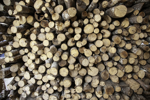 Wood cut for firewood