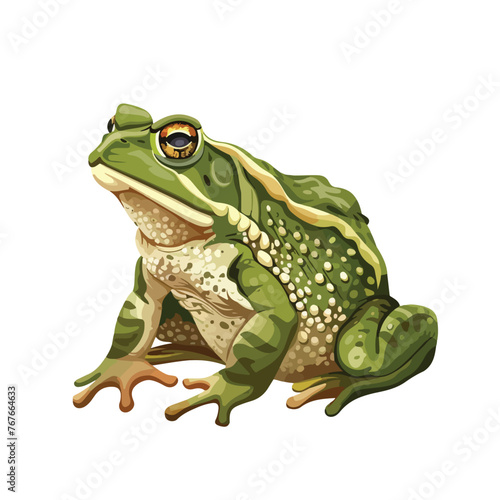 Green toad. Abstract toad on white background 