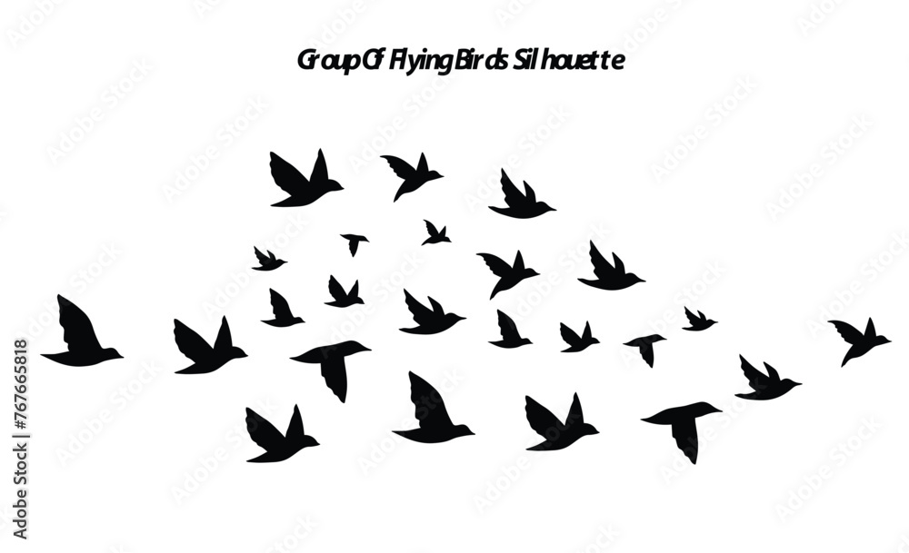 Group of flying birds silhouette vector illustration