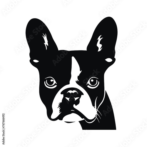 boston terrier Silhouette 