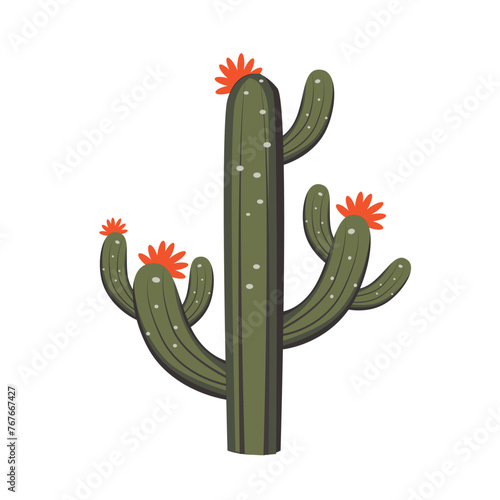 Cactus plant vector illustration, cacti clip art, cactuses image isolated on white background