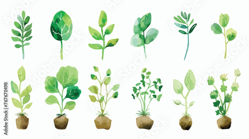 Plant Propagation Watercolor flat vector