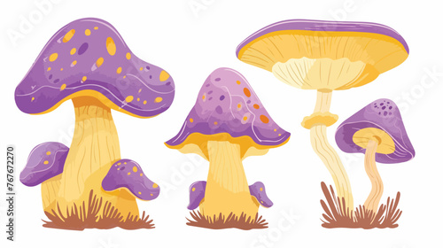 Purple Yellow Mushroom flat vector 