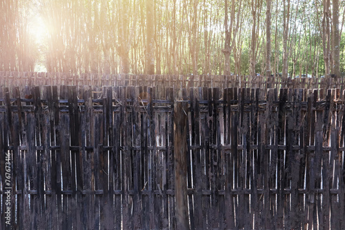 Vernacular architecture detail image show old wooden lattice panel fence with tropical forest background at evening summer time.
