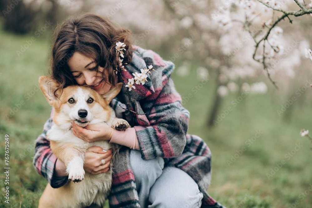 Young woman cuddling with corgi dog in almond blossom garden in Prague Young woman cuddling with corgi dog in almond blossom garden in Prague
