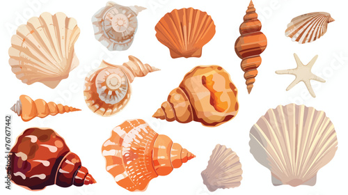 Sea Shells flat vector isolated on white background 