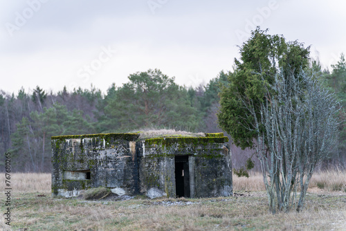 Second world war bunker on the beach landscape. An old, concrete second world war bunker and juniper. Military heritage from World War II. 