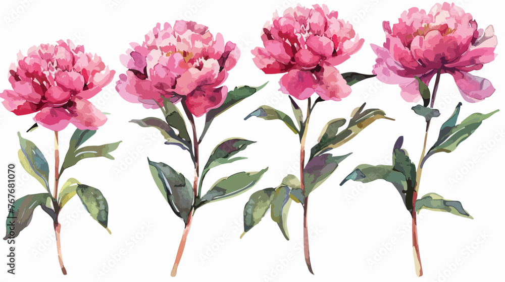 Mothers Day Peonies Watercolour Flat vector 