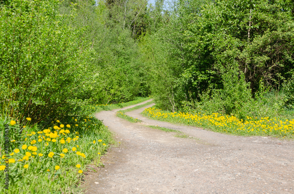 A road among yellow flowers and trees A road among yellow flowers and trees