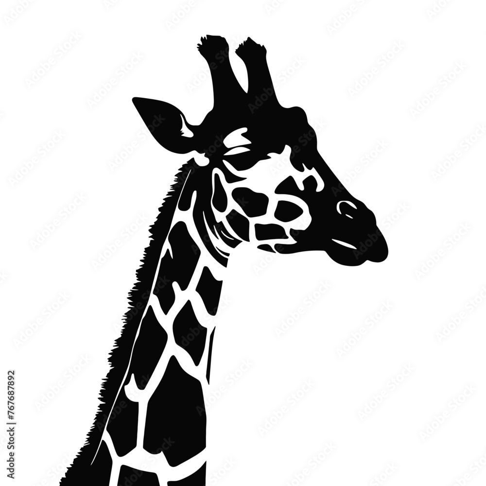 Black silhouette of giraffe head and neck on white background. Vector ...
