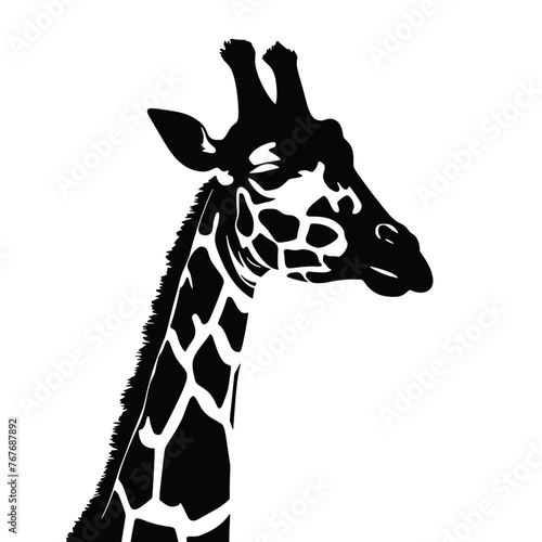 Black silhouette of giraffe head and neck on white background. Vector african animal, isolated icon with giraffe animal face in simple style, decal, sticker. Concept for savannah safari, tattoo, zoo