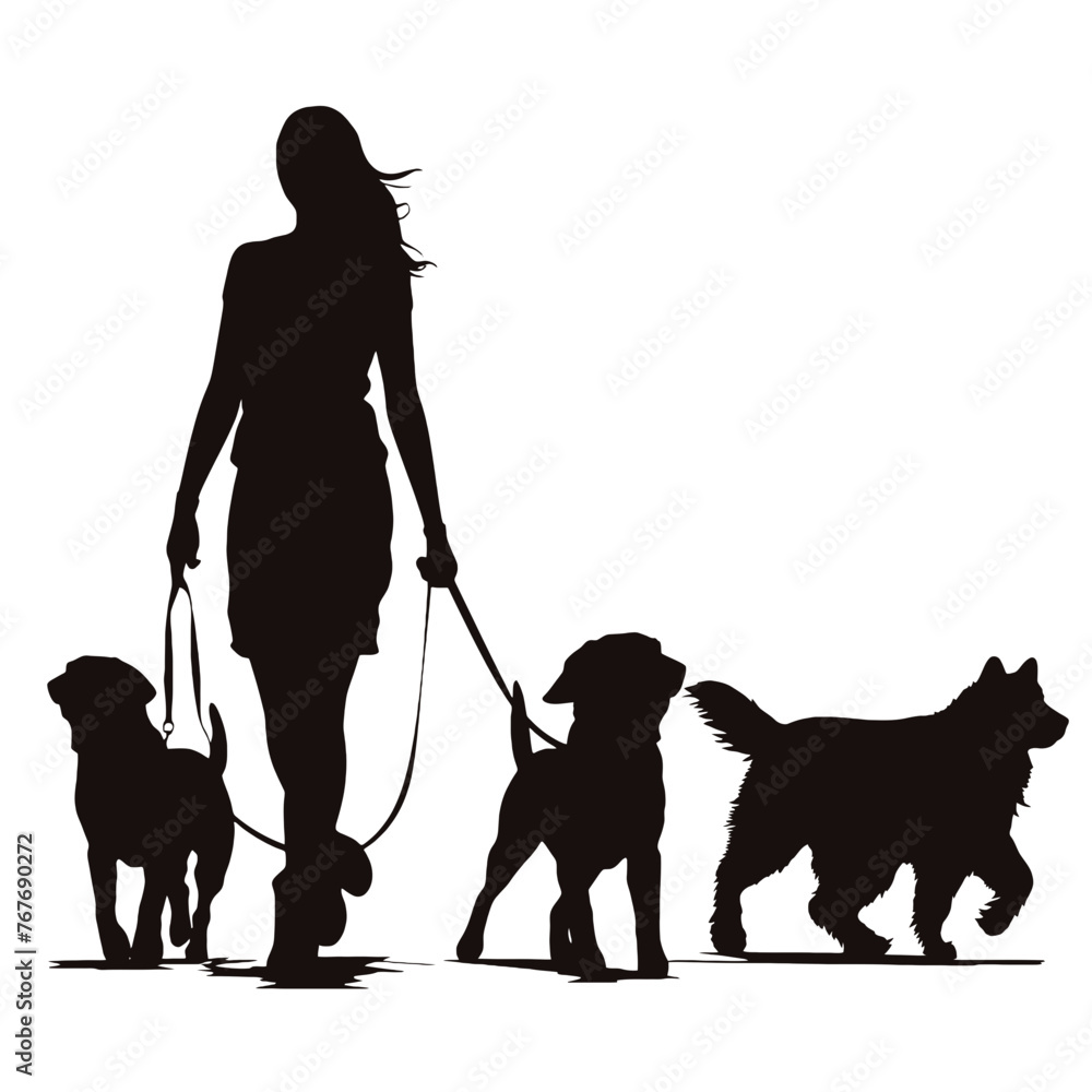 Vector silhouette of women walk with her dogs with leash on white background. Symbol of animal, pet, friends,walk. Vector silhouette of women walk with her dogs with leash on white background. Symbol of animal, pet, friends,walk.