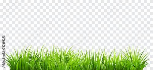 Realistic green grass. Bushes of fresh greens. Spring meadow.
