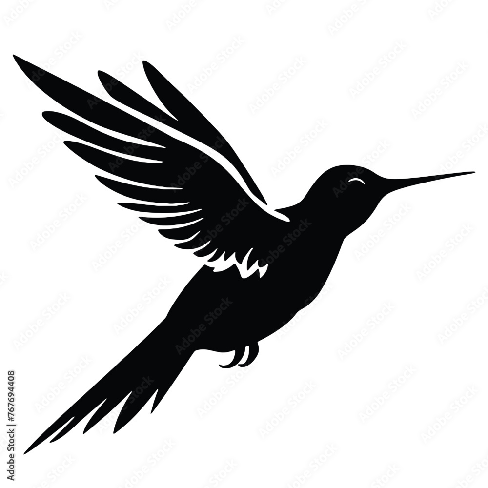 Obraz premium hummingbird illustration