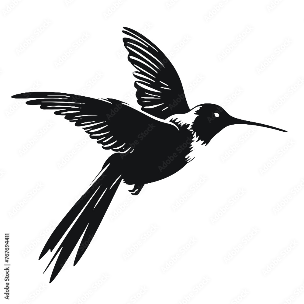 Obraz premium hummingbird illustration