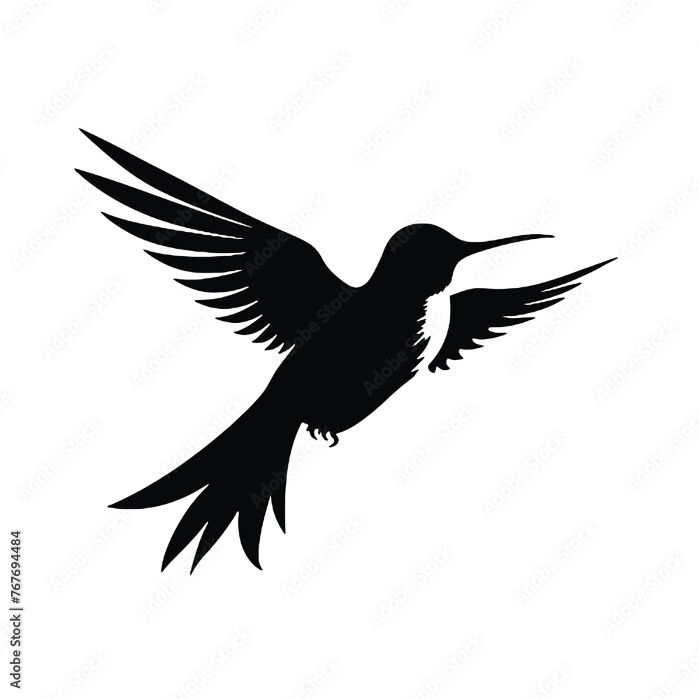 Obraz premium hummingbird illustration