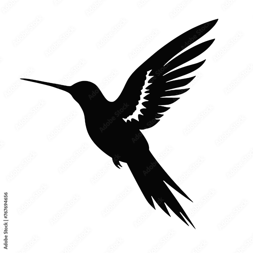 Obraz premium hummingbird Silhouette 