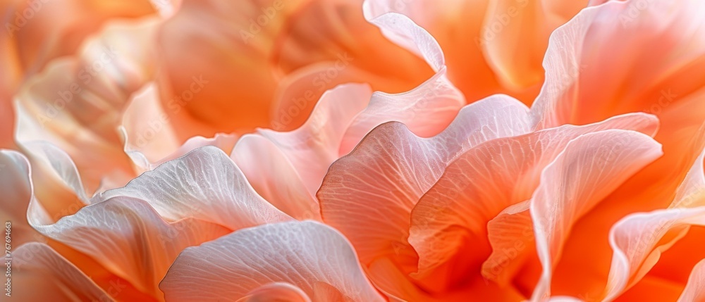 A close up of a flower with white and pink petals. Generative AI. A close up of a flower with white and pink petals. Generative AI.