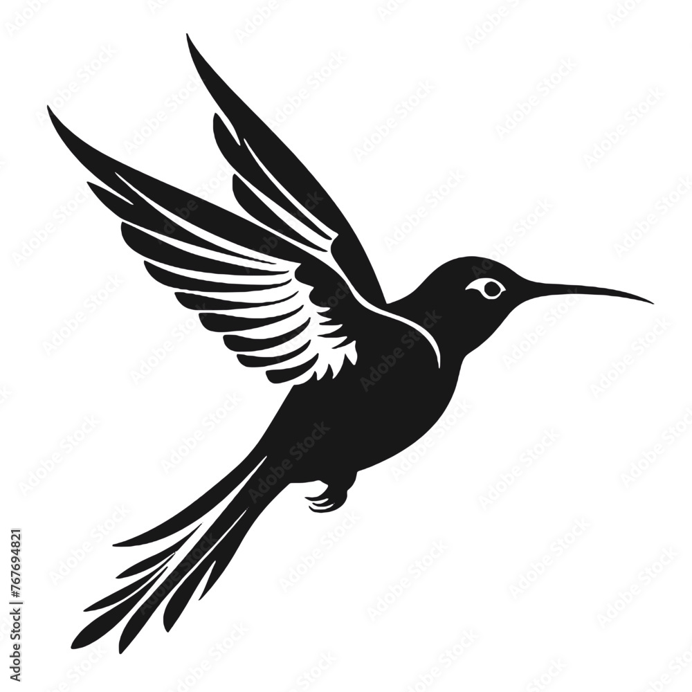 Obraz premium hummingbird Silhouette