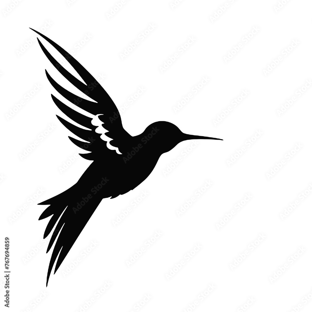 Obraz premium hummingbird Silhouette 