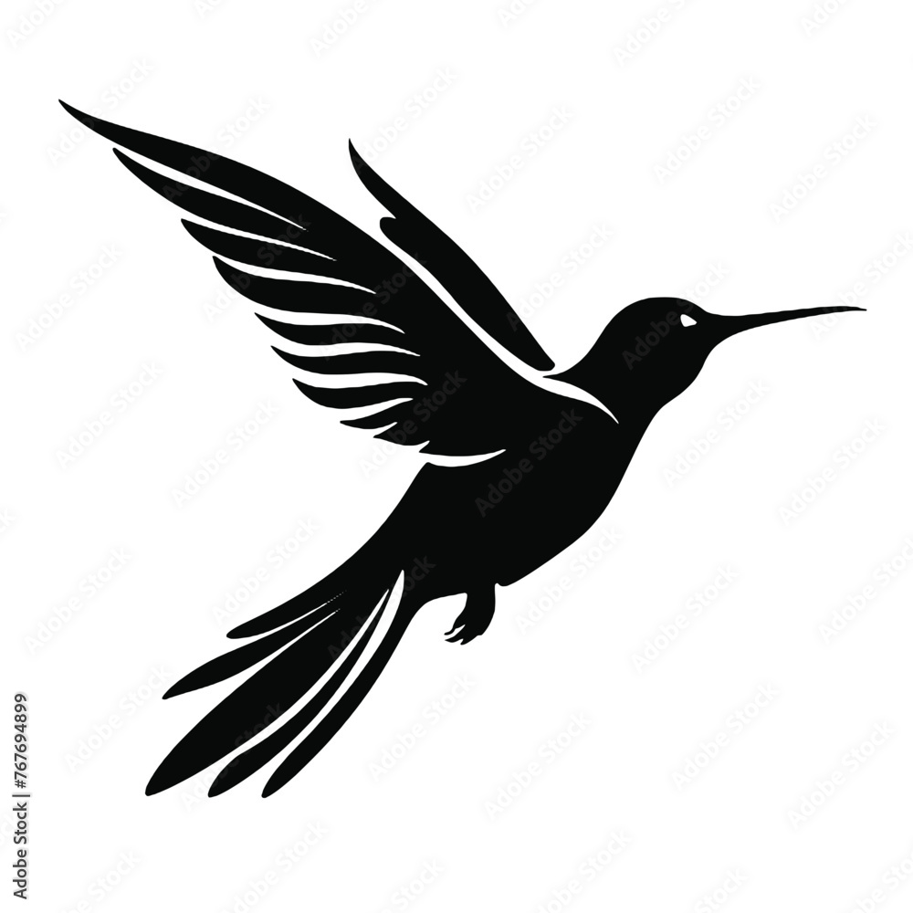 Obraz premium hummingbird Silhouette 