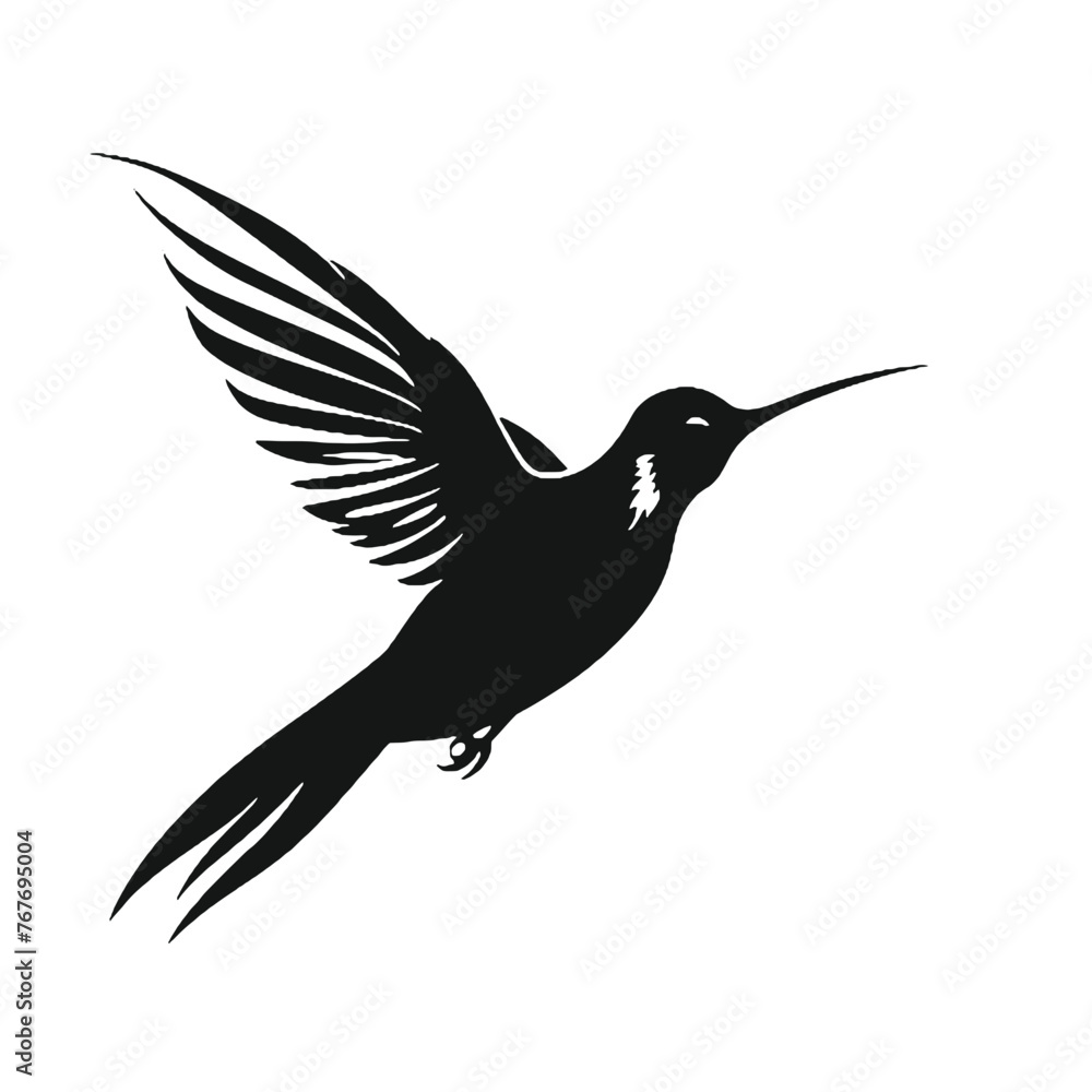 Obraz premium hummingbird Silhouette