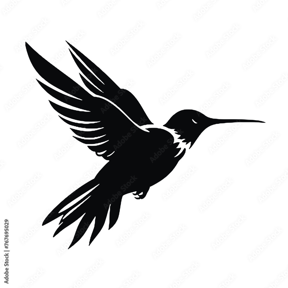 Obraz premium hummingbird Silhouette 