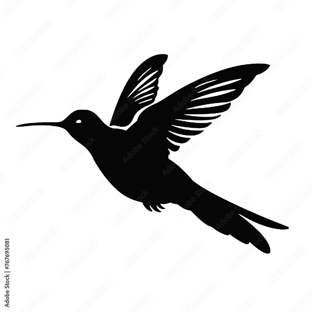 Fototapeta premium hummingbird Silhouette 