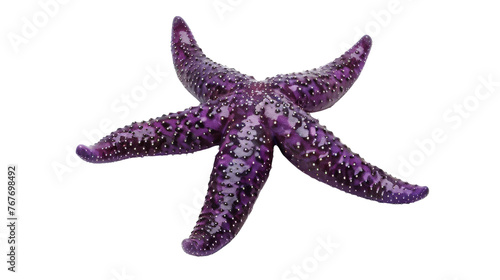 Dark Purple Starfish on Transparent Background PNG