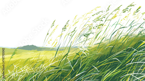 Summer Fields Sun-Kissed Grasses Wave in Gentle Breez photo