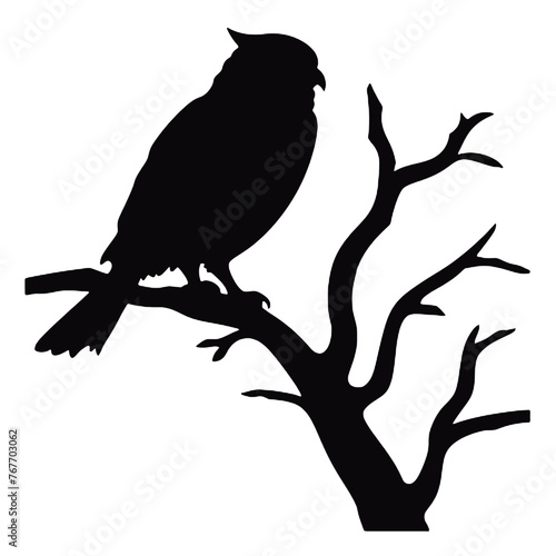 Cute Owl Illustration Vector Illustration Black and White