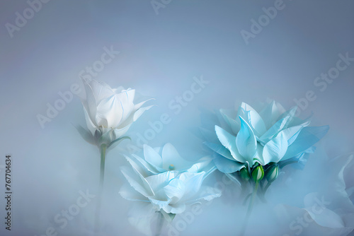  flowers in the background of white  fog  colorful flowers  soft background art   paintings