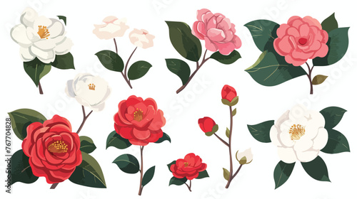 Vector of camellia flowers collection. flat vector 