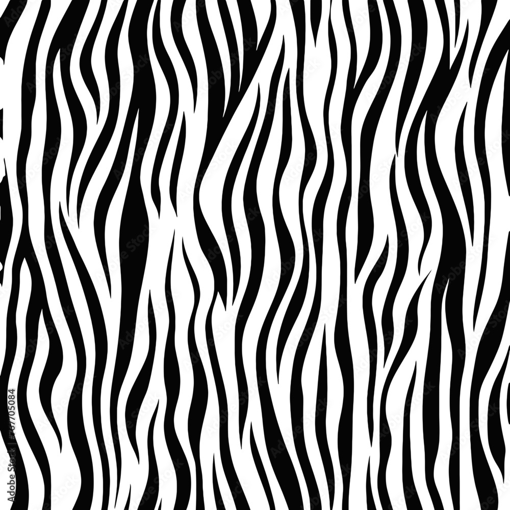 Trendy zebra skin pattern background vector Trendy zebra skin pattern background vector