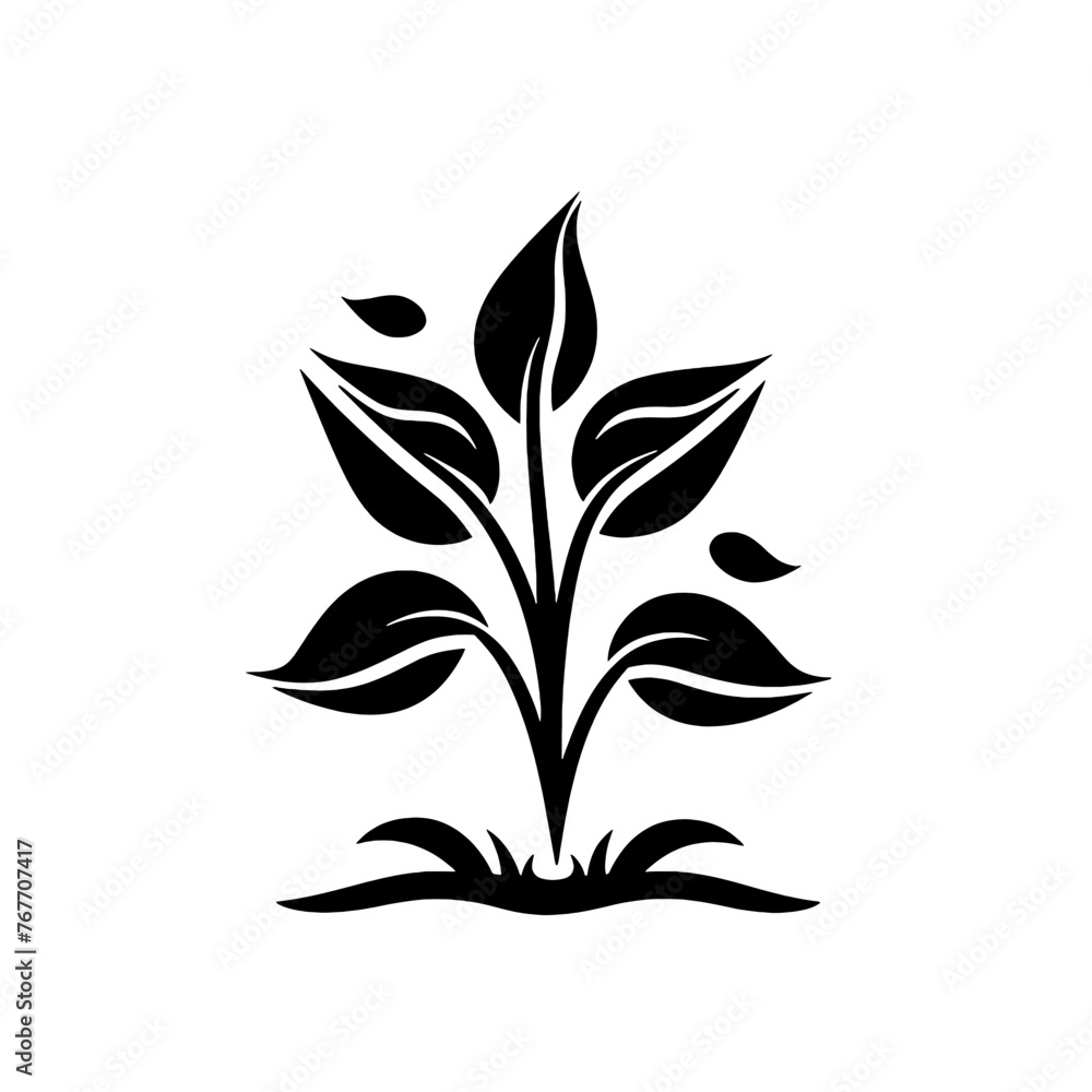 Plant Silhouette Plant Silhouette