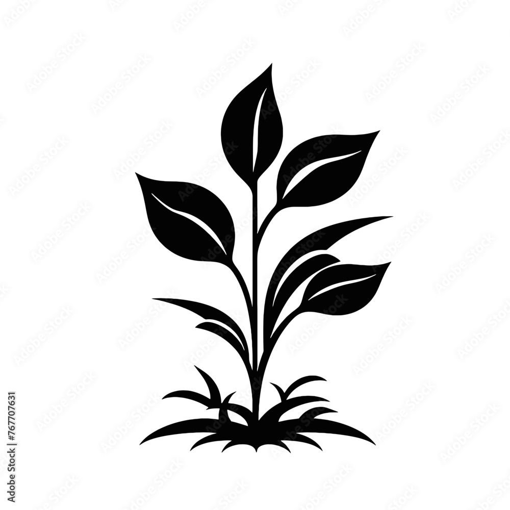 plant in a pot plant in a pot