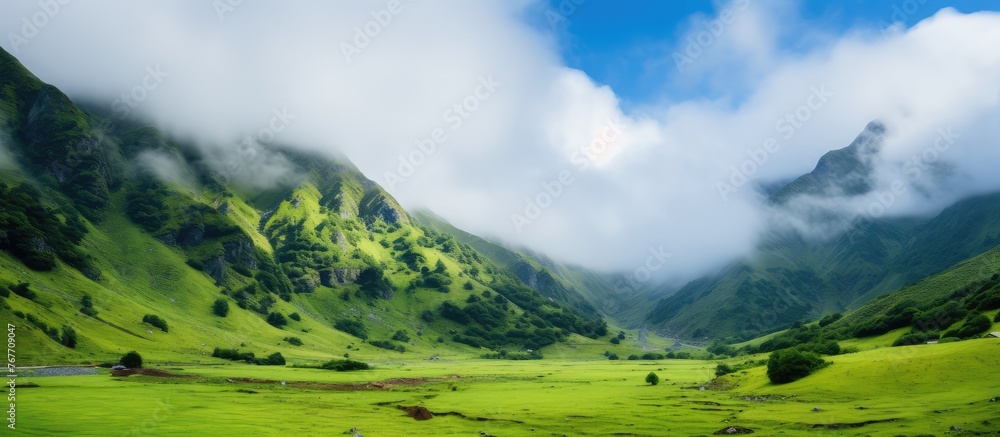 Misty Green Valley with Majestic Mountains Misty Green Valley with Majestic Mountains