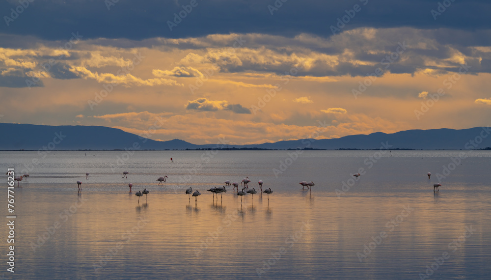 sunset on the lake in the ebro delta