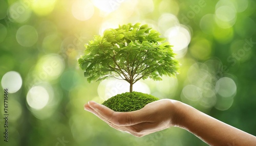 Towards a Greener Horizon: Hands and Trees Working for Earth