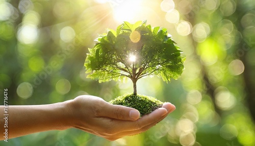 Hands and Trees in photo